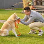 Beziehungsarbeit mit dem Hund: Warum dein Hund dich ernst nehmen muss, bevor Training funktioniert