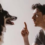 Warum dein Hund nicht einfach „gehorchen" kann – und was stattdessen wichtig ist